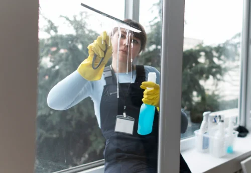 Nettoyage de vitres intérieures et extérieures à Busset